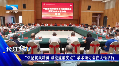 “弘扬抗战精神 赋能建成支点”学术研讨会在大悟举行