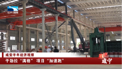 咸宁：干劲拉“满格” 项目“加速跑”