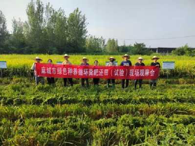 “土专家”活跃荆楚田间，把脉耕地开良方