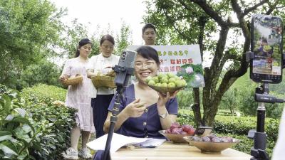 “方寸屏幕”助力农货出山  “云端赋能” 激活乡村振兴——宜都村干部直播惠农51名党支部书记直播带货520万元