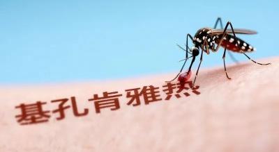 如果不慎中招基孔肯雅热怎么办？