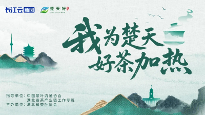 楚天好茶出海口号投票启动！30条创意入围，邀你pick最终口号