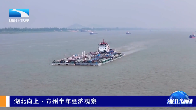 湖北向上·市州半年经济观察丨黄石：向外突围 进出口增速快于全国平均水平