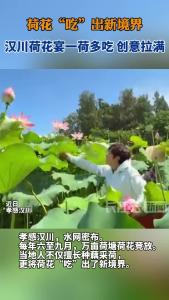 荷花“吃”出新境界！汉川荷花宴一荷多吃 创意拉满