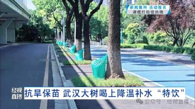 持续高温！武汉路边的大树下，出现了好多绿色编织袋……