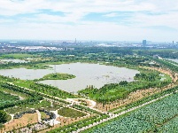 图集丨碧水蜿蜒，绿意绵延！荆州白水滩湿地绘就城市生态画卷