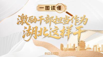 一图读懂 | 激励干部担当作为，湖北这样干！