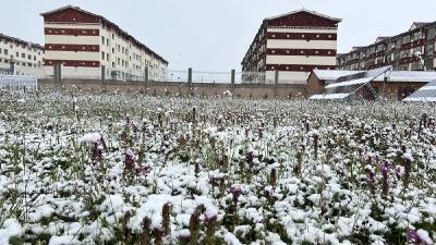 就下雪了？多股冷空气活跃来袭 秋与夏的初次交锋要开始了