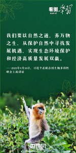 看图学习丨抓生态文明建设 总书记要求正确处理这对关系