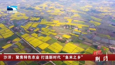 沙洋：聚焦特色农业 打造新时代“鱼米之乡”