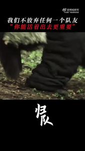 战友情里的坚持与牺牲，都是生命最厚重的注脚，归队战友情看得人好泪目！