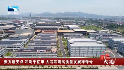 聚力建支点 冲刺千亿市 大冶吹响高质量发展冲锋号