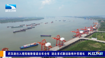 长江观察 | 武汉港出入境船舶数量超去年全年 湖北多式联运助推外贸增长