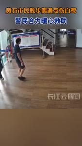黄石市民散步偶遇受伤白鹭 警民合力暖心救助