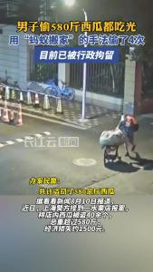 男子“蚂蚁搬家”连偷580斤西瓜全吃光