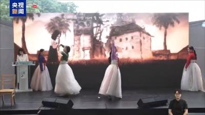世界“慰安妇”纪念日 韩国多地举行活动表达纪念和哀思