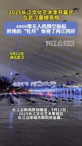 今晚，4000架无人机在夜空中上演璀璨华章