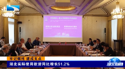 牢记嘱托 建成支点 | 湖北实际使用欧资同比增长51.2%
