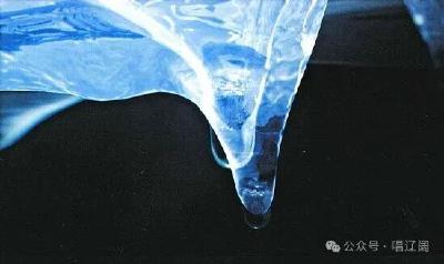 长江赠予我们的——写给2025长江文化艺术季