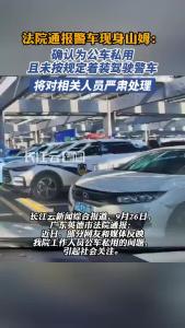 警车在山姆购物确认为公车私用