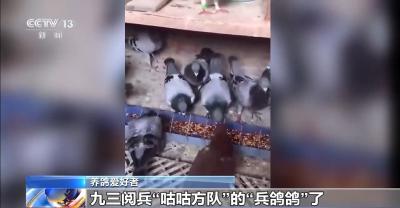 8万羽和平鸽在天安门放飞 背后藏着这些真挚祝福