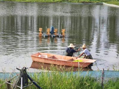活力中国调研行｜特色产业“多点开花” 湖北释放就业新机遇