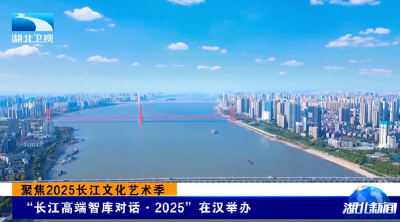 聚焦2025长江文化艺术季 | “长江高端智库对话·2025”在汉举办