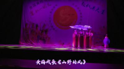 谭平方黄梅戏《山野的风》