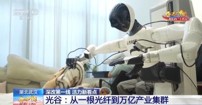 从一根光纤到万亿产业集群 武汉光谷蝶变的密码是什么？