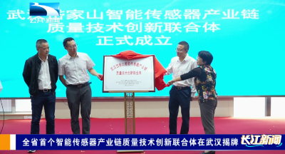 全省首个智能传感器产业链质量技术创新联合体在武汉揭牌