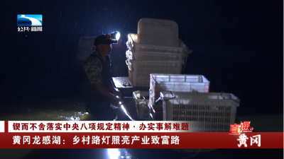 黄冈龙感湖：乡村路灯照亮产业致富路