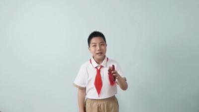第二届“小百花”视频-加菲猫语言表演 梁博轩《玲珑塔》
