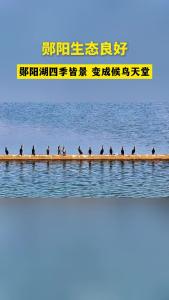 十堰郧阳：四季皆景 候鸟天堂