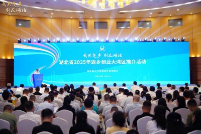 黄石携“四大礼包”走进大湾区 诚邀乡贤共绘辉“黄”