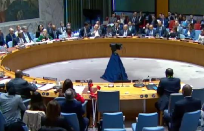 美国再次一票否决安理会加沙决议草案