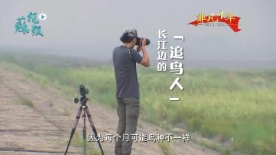 江苏 | 《长江边的追鸟人》