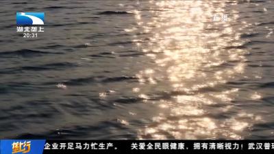《“大国农匠”赵美丽的美丽梦想》