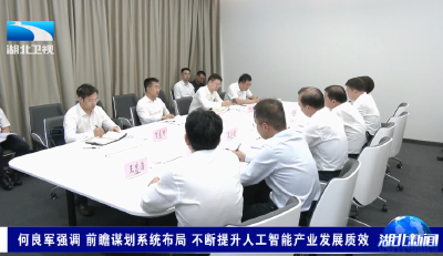 何良军强调 前瞻谋划系统布局 不断提升人工智能产业发展质效