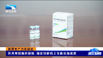 新质生产力在湖北丨同月两款新药获批   湖北创新药上市跑出加速度