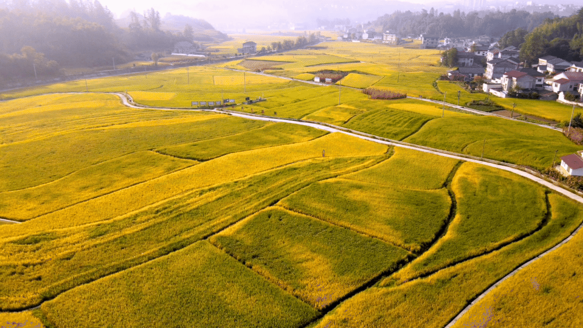 看得见的理儿：走“新”的“丰”景