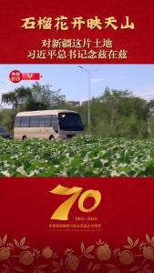 对新疆这片166万多平方公里的辽阔大地，习近平总书记念兹在兹
