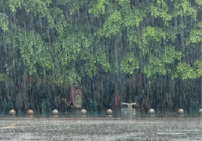 高温+强对流黄色预警！湖北未来三天中西部需防局地暴雨 高温短暂返场