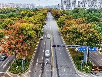 图集丨荆州秋色上线 栾树悄然换装
