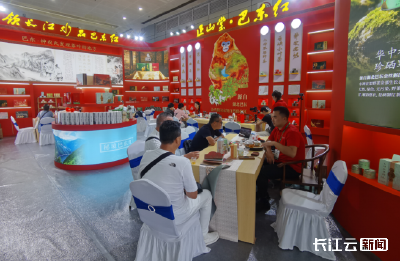 茶博会来了！湖北绿茶、非遗茶具受茶客青睐