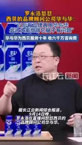 罗永浩直播间怒怼西贝的品牌顾问公司华与华