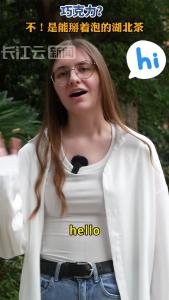巧克力？不，是能掰着泡的中国茶！