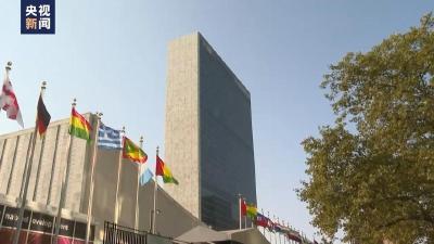 美国再次一票否决安理会加沙决议草案