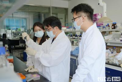 湖北科研团队揭示植物基因起源新机制