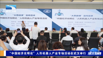 “中国经济光明论”人形机器人产业专场活动在武汉举行