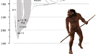 最新研究刷新人类演化时间线